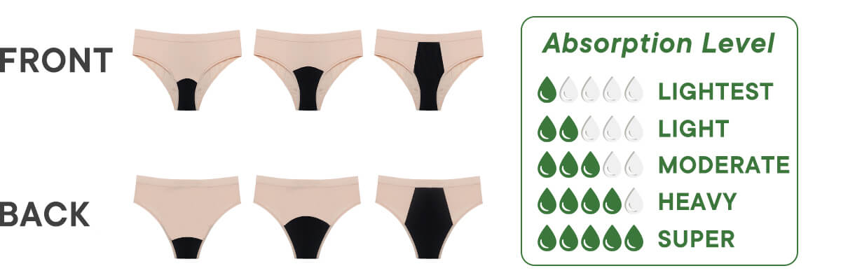 Customizable Period Underwear Absorbency Levels and Core Technologies